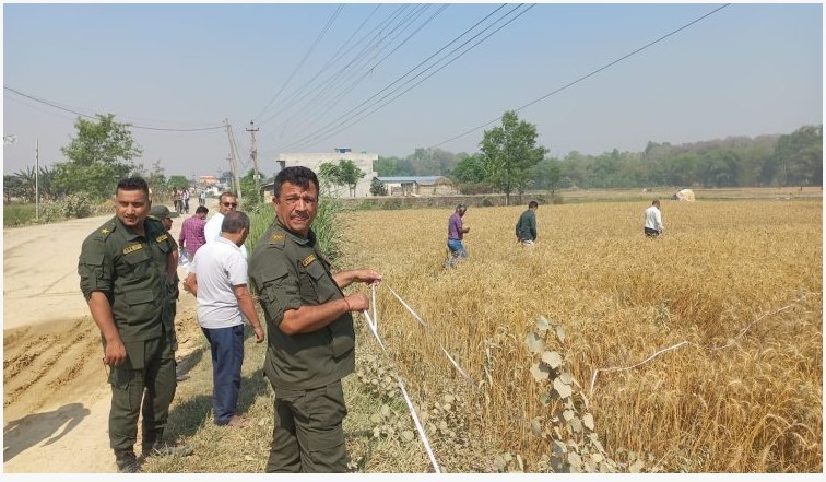 वीरगञ्ज महानरको प्रयासमा गुठी संस्थानको ९ विघा १३ कट्ठा जग्गाको सीमांकन छुट्याइयो  